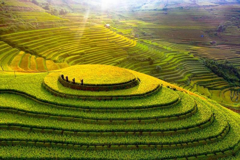 Hong Minh Guesthouse Mu Cang Chai Eksteriør billede