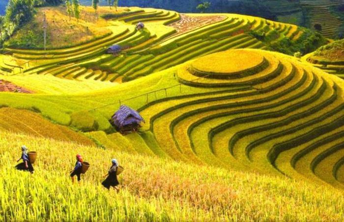 Hong Minh Guesthouse Mu Cang Chai Eksteriør billede